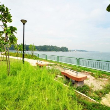 NPARK – PUNGGOL PCN